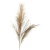 Depot Fleur De Tige Artificielle Pampaswedel