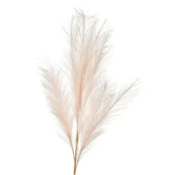 Depot Fleur De Tige Artificielle Pampaswedel