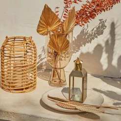 Depot Fleur Sechee De Ruscus Online