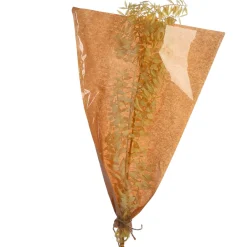 Depot Fleur Sechee De Ruscus Cheap