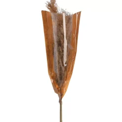 Depot Fleur Sechee Herbe De La Pampa