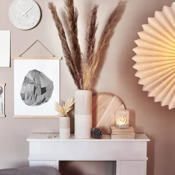 Depot Fleur Sechee Herbe De La Pampa Hot