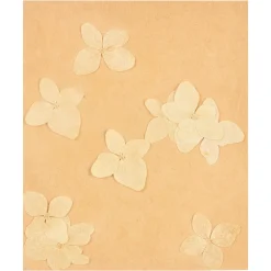 Depot Fleurs Sechees D'Hortensia, Pressees