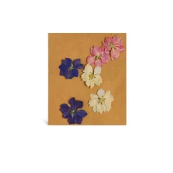 Depot Fleurs Sechees, Melange De Fleurs Printanieres, Pressees