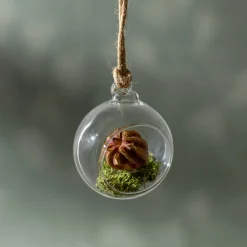 Depot Mousse De Lobes Décoratifs Clearance