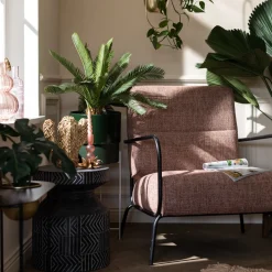 Depot Objet Décoratif Cactus Shop