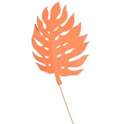 Depot Objet Décoratif Monstera Clearance