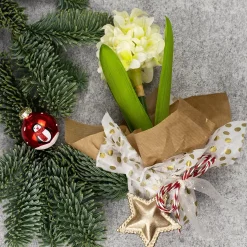 Depot Papier Cadeau Uni