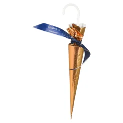 Depot Parapluie En Chocolat Fashion