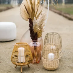 Depot Photophore More Flash Sale