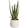 Depot Plante Artificielle Aloe En Pot