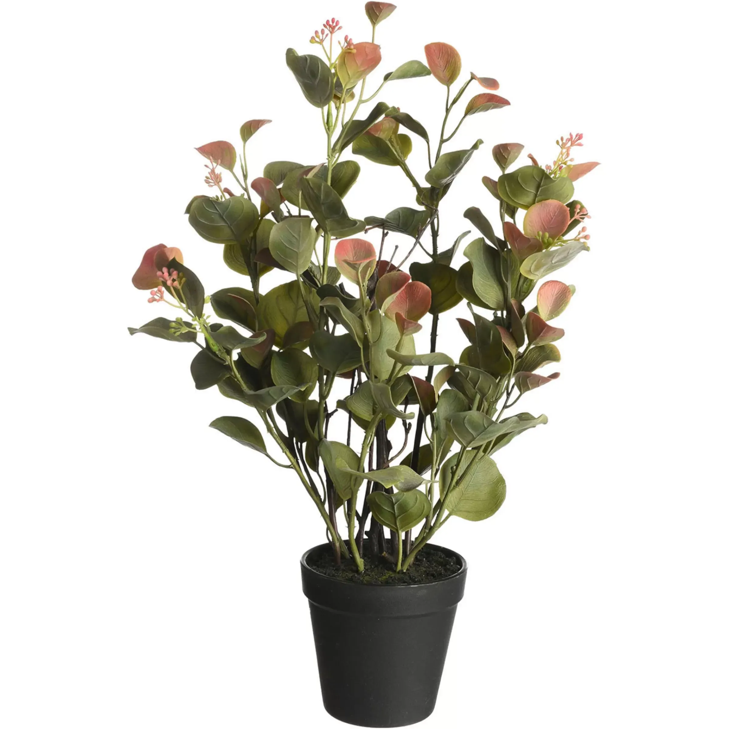 Depot Plante Artificielle D'Eucalyptus Dans Un Pot