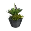 Depot Plante Artificielle Melange De Plantes Succulentes Dans Un Recipient En Verre