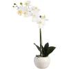 Depot Plante Artificielle Orchidee Phalaenopsis