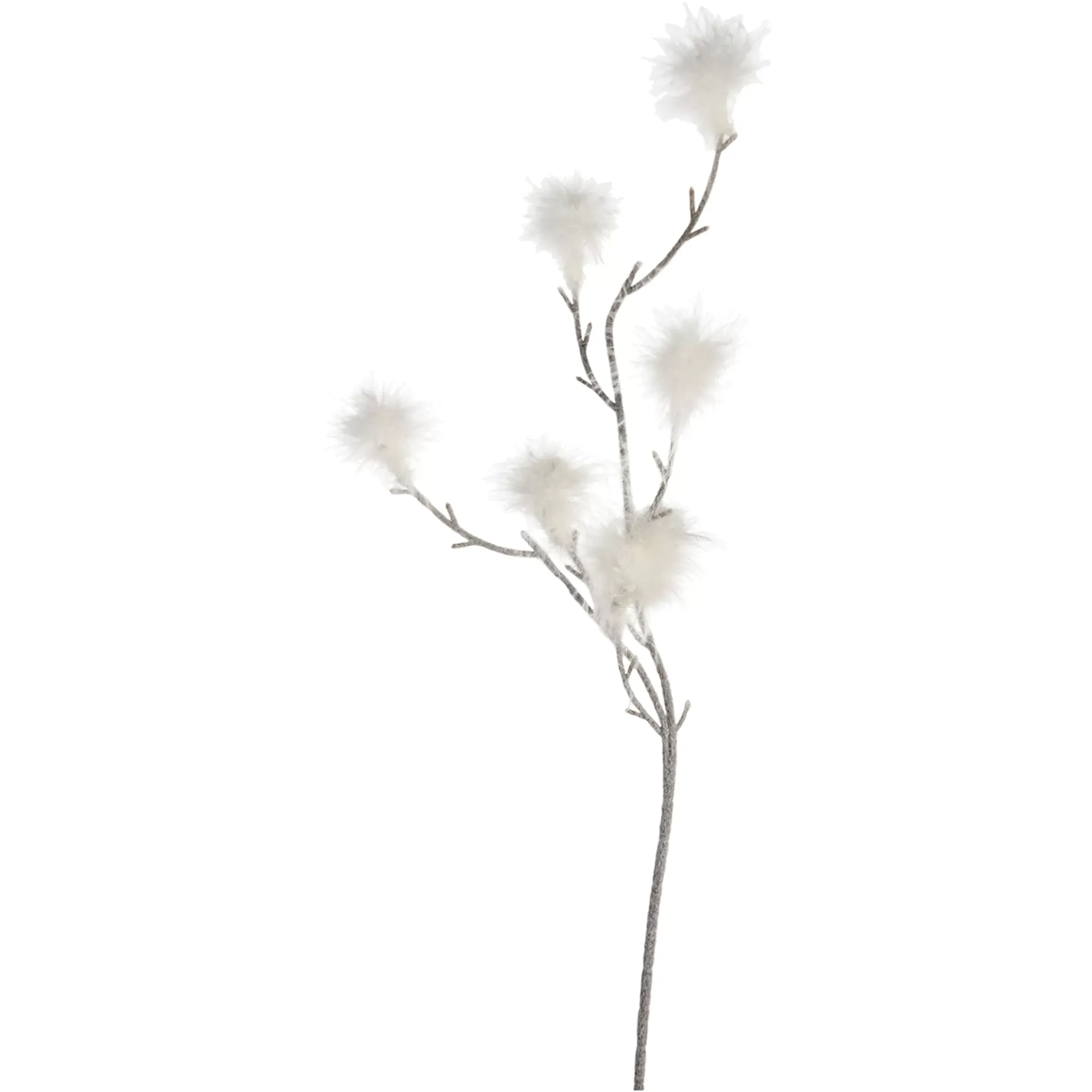 Depot Plume De Branche Artistique