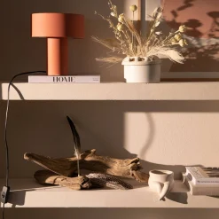 Depot Plumes De Paon Décoratives Best