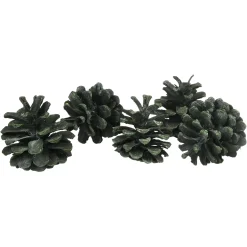 Depot Pomme De Pin Décorative