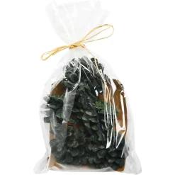 Depot Pomme De Pin Décorative