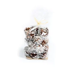 Depot Pomme De Pin Décorative