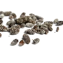 Depot Pomme De Pin Décorative