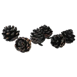 Depot Pomme De Pin Décorative