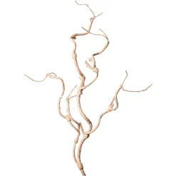 Depot Rameau D'Art Scintillant