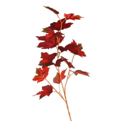 Depot Set De Branches D'Art Eglantier & Erable