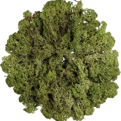 Depot Set De Couronne De L'Avent Décorative Christmas Glam