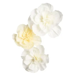 Depot Set De Fleurs En Papier Crepe Best