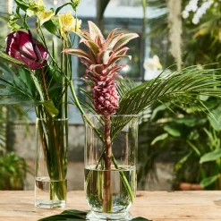 Depot Set De Photophores Close