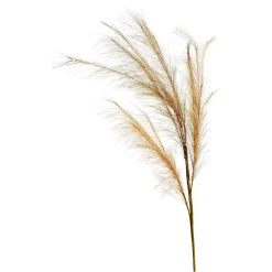 Depot Stielblume Pampas Glam Ca. 110