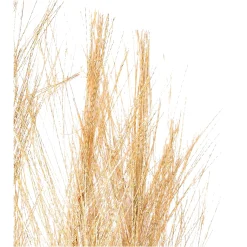 Depot Stielblume Pampas Glam Ca. 110