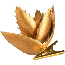 Depot Succulente D'Art Sur Clip