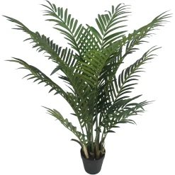 Depot Topfpflanze Arecapalme Ca. 90Cm