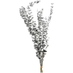 Depot Trockenblume Eukalyptus Ca.55C