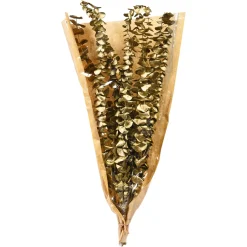 Depot Trockenblume Eukalyptus Ca.55C
