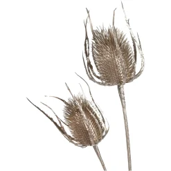 Depot Zweig Distel Ca. 81Cm