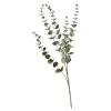 Depot Zweig Eukalyptus Modern Ca.74Cm, Creme Discount