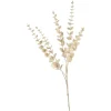 Depot Zweig Eukalyptus Modern Ca.74Cm, Creme